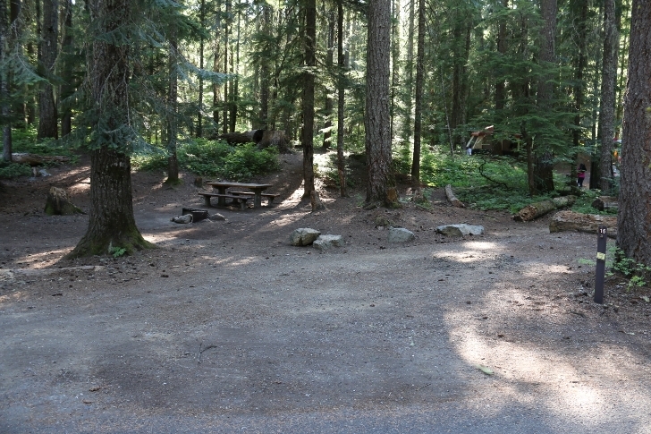 Camping in Washingtons Kachess Campground.
